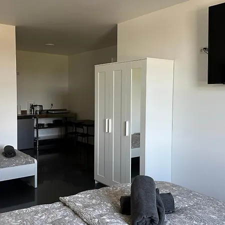 Apartmenthaus In Halle-saale Naehe Hauptbahnhof Penzion 3*