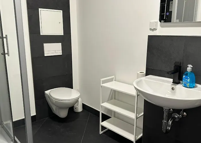 Apartmenthaus In Halle-saale Naehe Hauptbahnhof 招待所 Halle (Saale)