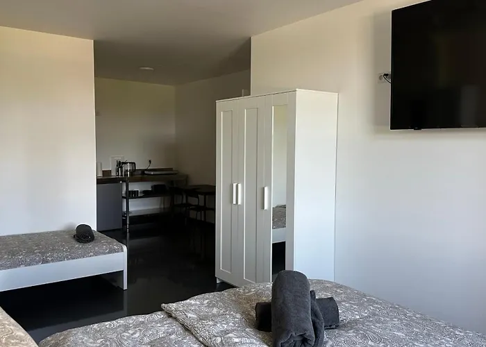 Apartmenthaus In Halle-saale Naehe Hauptbahnhof 招待所 3*