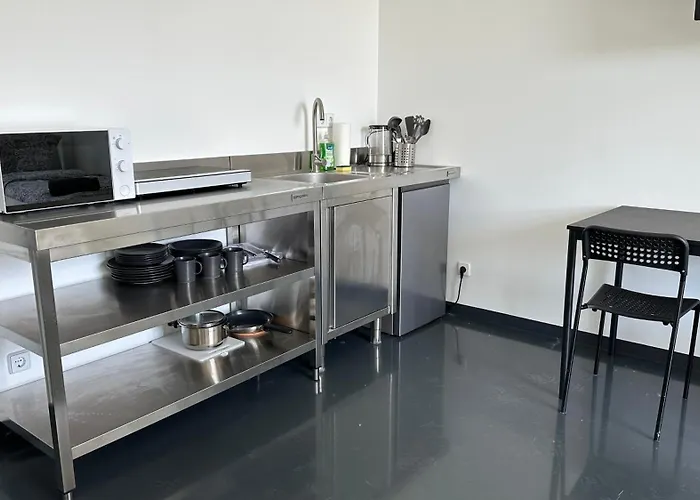 Apartmenthaus In Halle-saale Naehe Hauptbahnhof 招待所